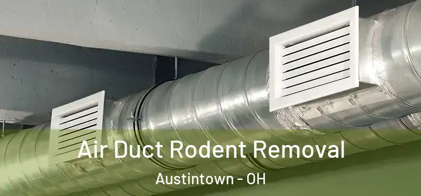 Air Duct Rodent Removal Austintown - OH
