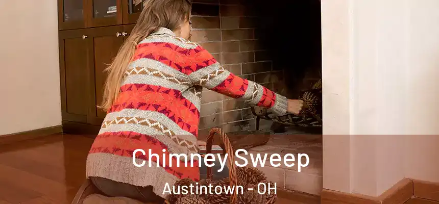  Chimney Sweep Austintown - OH