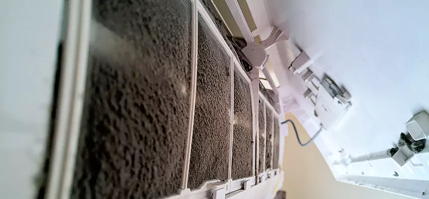 Preventive Air Duct Bacteria Removal in Austintown