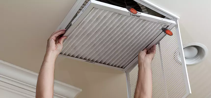 Preventive Cockroach-Proofing for Ducts in Austintown