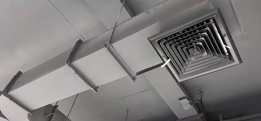 Restorative Allergy Relief Vent Cleaning – Coil, Blower & Housing Detail in Austintown