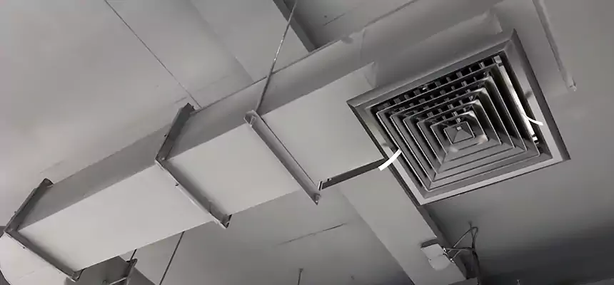 Our Pest Removal From Ducts Services in Austintown, OH