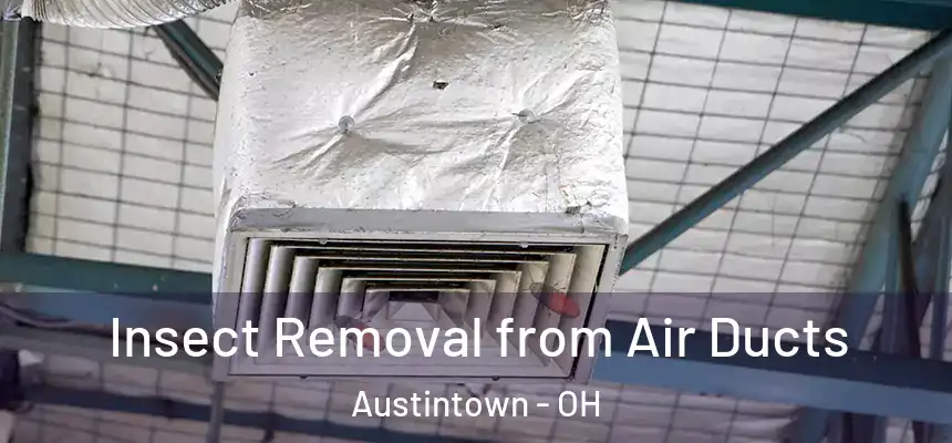  Insect Removal from Air Ducts Austintown - OH