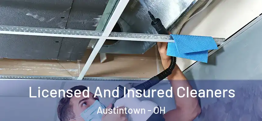  Licensed And Insured Cleaners Austintown - OH
