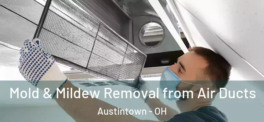  Mold & Mildew Removal from Air Ducts Austintown - OH