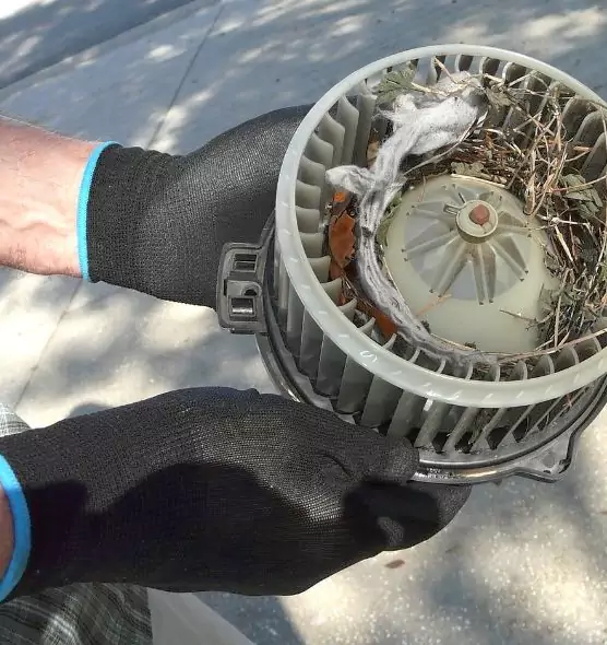 About Air Duct Rat Removal in Austintown, OH