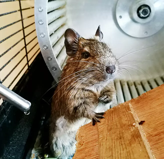 Why Homeowners & Businesses Trust Us Austintown, OH